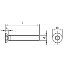 Metaalschroeven ISO 14581 RVS A2 TX25 M5x16 RAL 9016 verkeerswit- 500 stuks