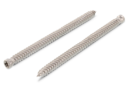Kozijnschroeven RVS A2 7,5x100 torx 40 100 stuks