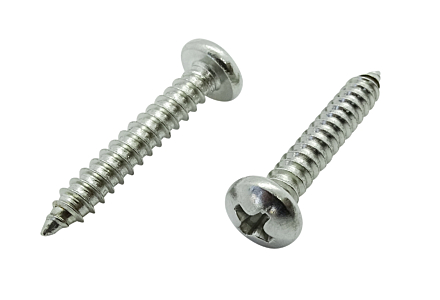 Zelftappers RVS cilinderkop 5,5x13 - 200 stuks