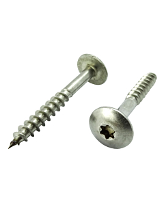 Tresposchroeven 4,8x32 torx RVS A4 100 stuks