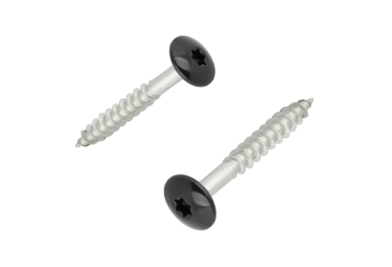 Tresposchroeven 4,8x25 torx RAL 7016 antraciet RVS 100 stuks