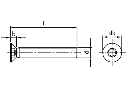 Metaalschroeven ISO 14581 RVS A2 TX25 M5x16 RAL 9016 verkeerswit- 500 stuks