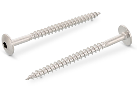 Tresposchroeven 4,8x25 torx blank RVS A2 100 stuks