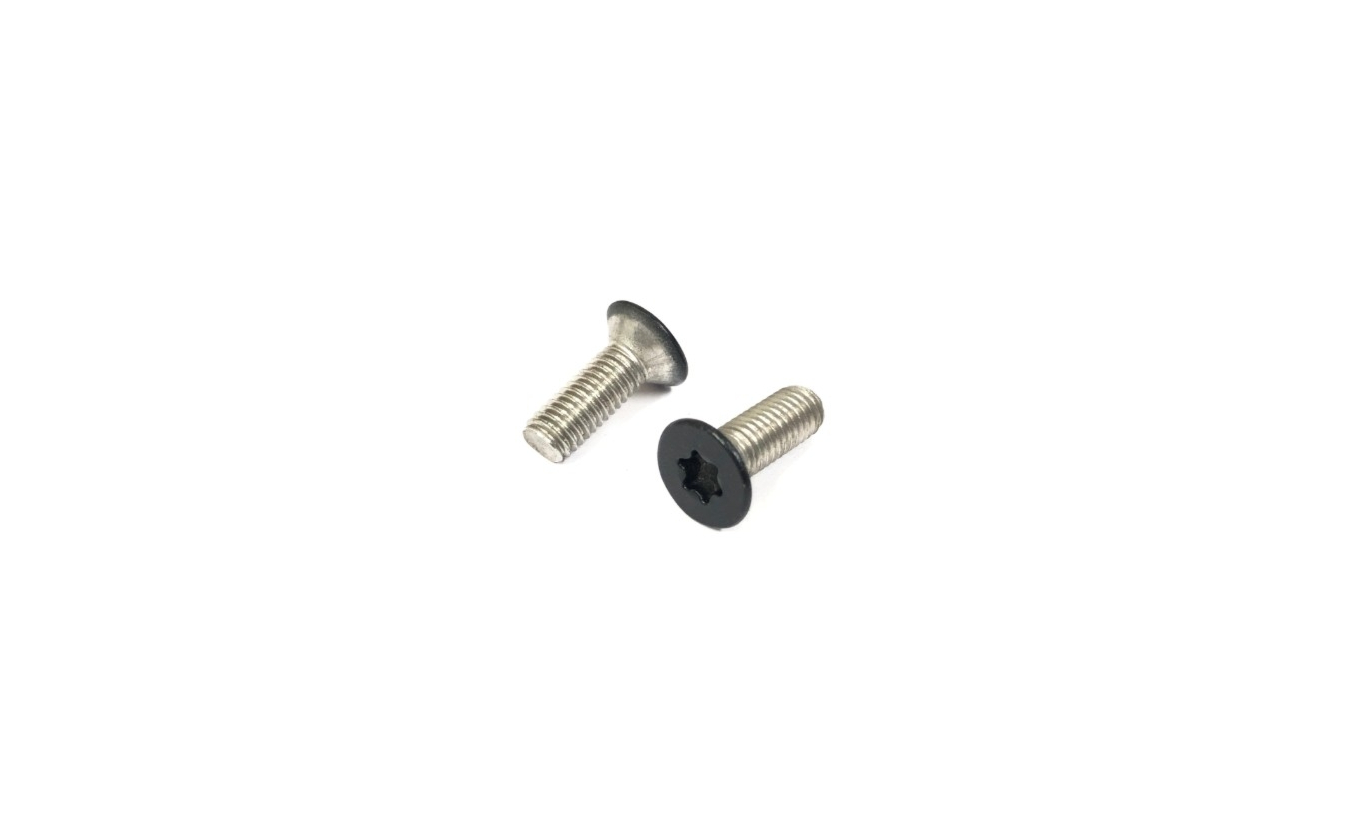 Metaalschroeven ISO 14581 RVS A2 Torx RAL 9005 mat zwart M5x12 - 200 stuks (gespoten)